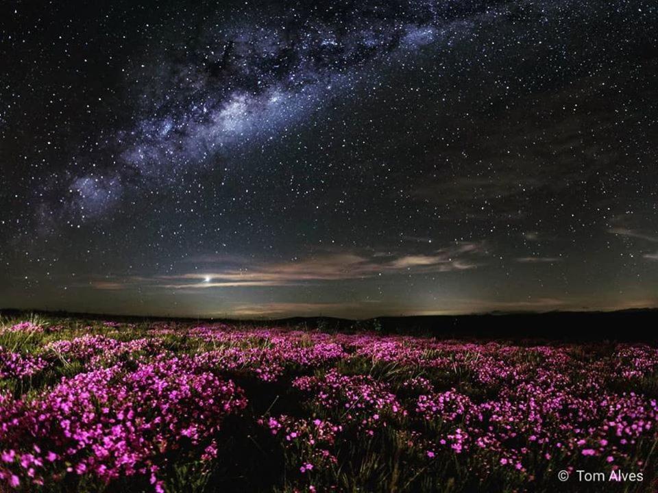 Chales Maricota Vargem Bonita Dış mekan fotoğraf